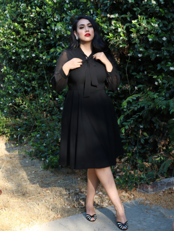 Women`s 1950s  Chiffon Long sleeve Fit&Flare Dress With Pockets - Gowntownvintage